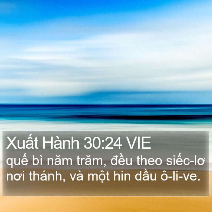 Xuất Hành 30:24 VIE Bible Study