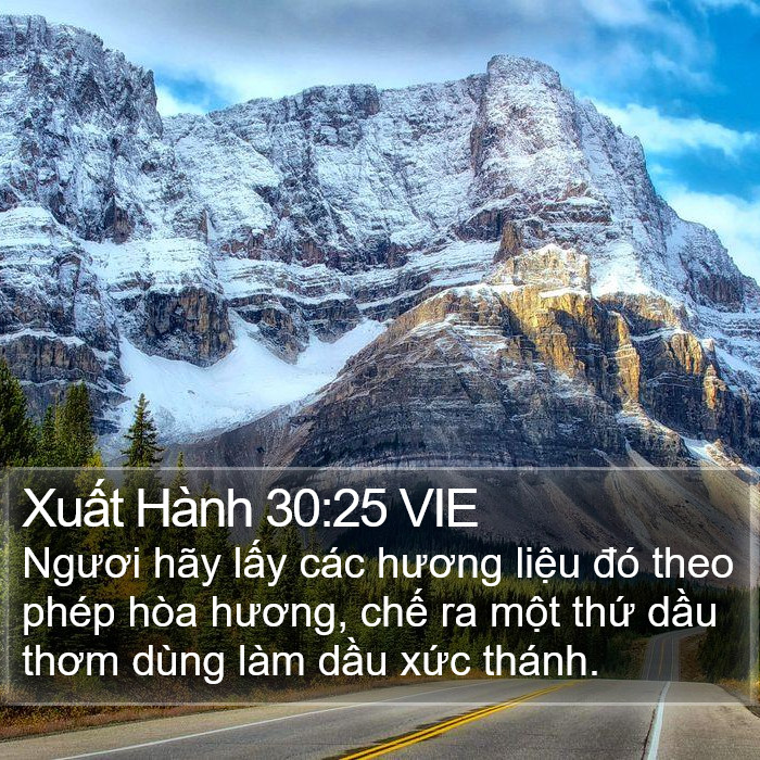 Xuất Hành 30:25 VIE Bible Study