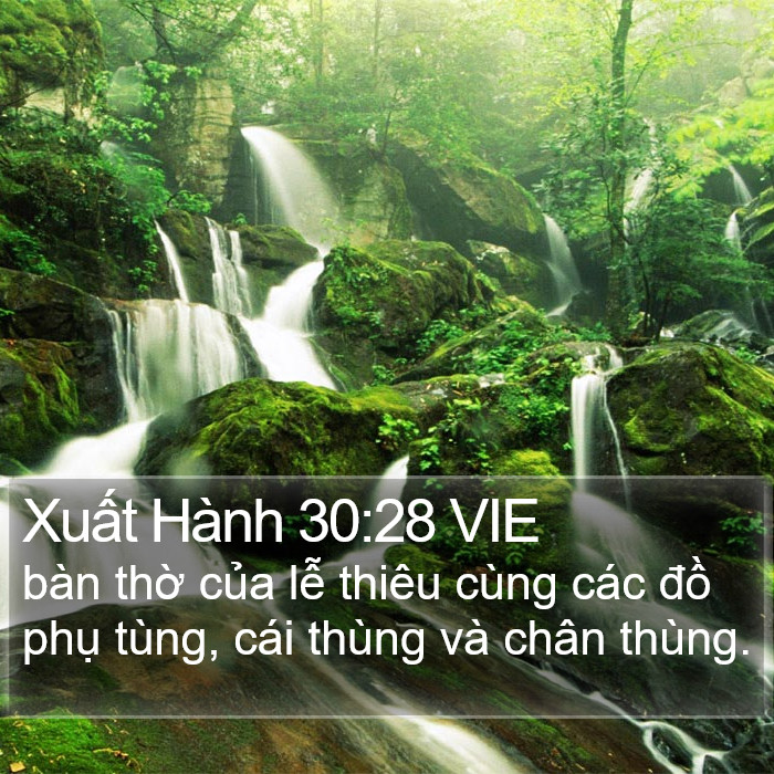 Xuất Hành 30:28 VIE Bible Study