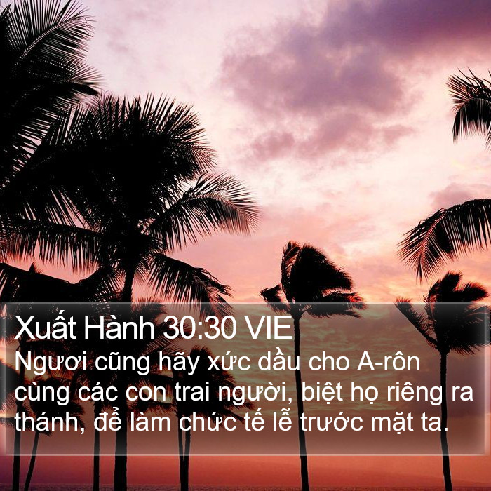 Xuất Hành 30:30 VIE Bible Study