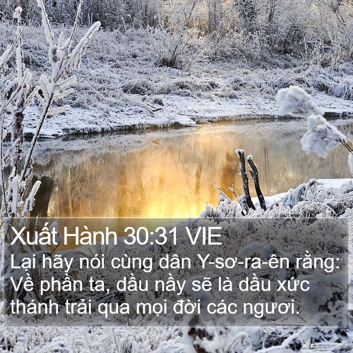 Xuất Hành 30:31 VIE Bible Study