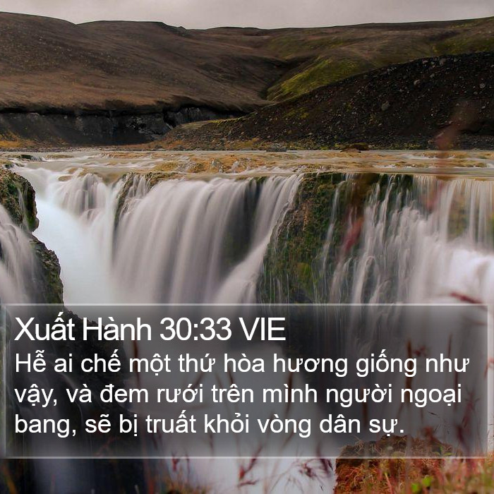 Xuất Hành 30:33 VIE Bible Study