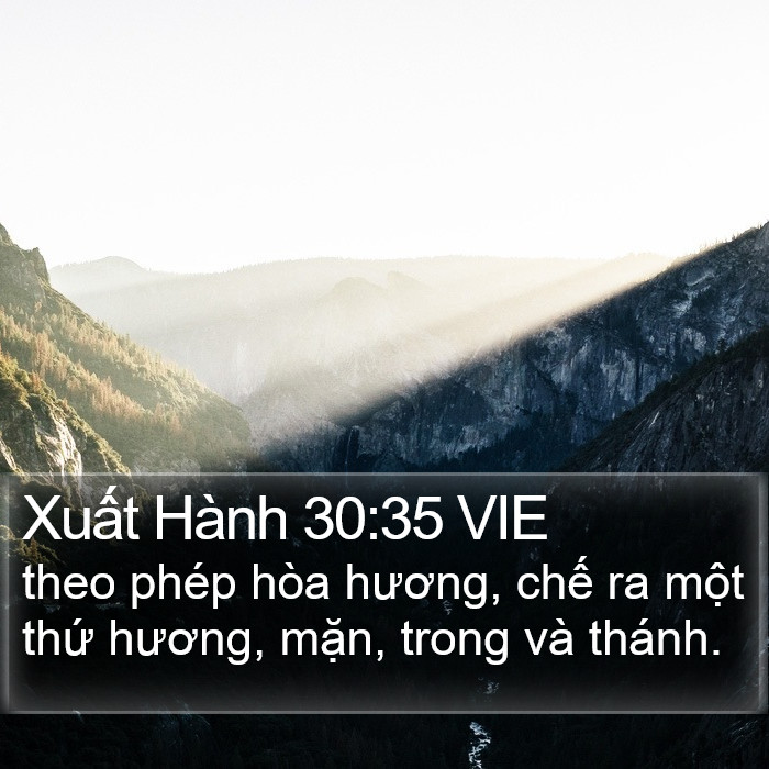 Xuất Hành 30:35 VIE Bible Study