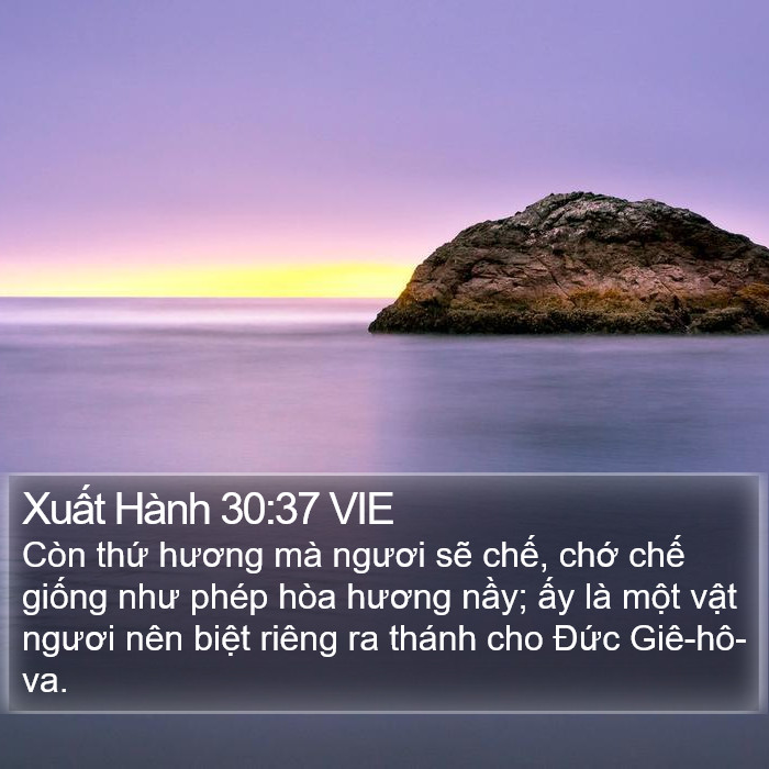 Xuất Hành 30:37 VIE Bible Study