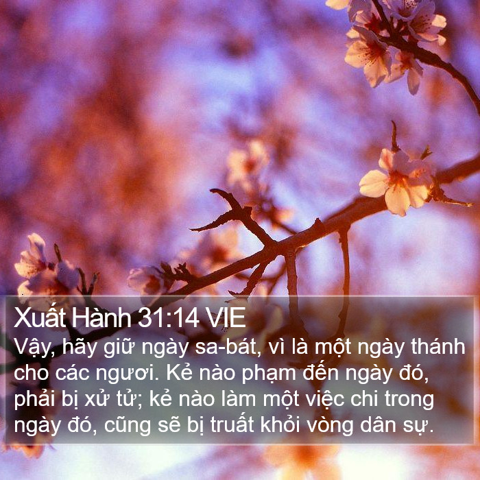 Xuất Hành 31:14 VIE Bible Study