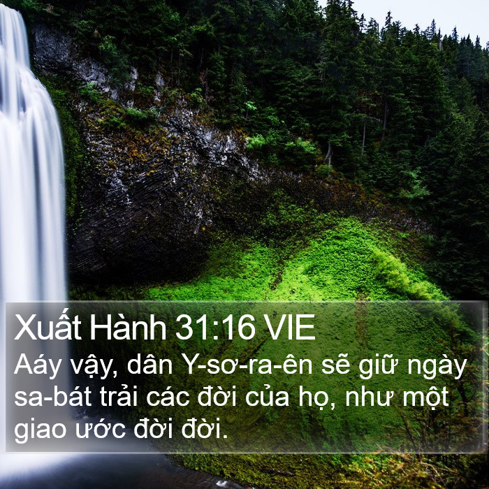 Xuất Hành 31:16 VIE Bible Study