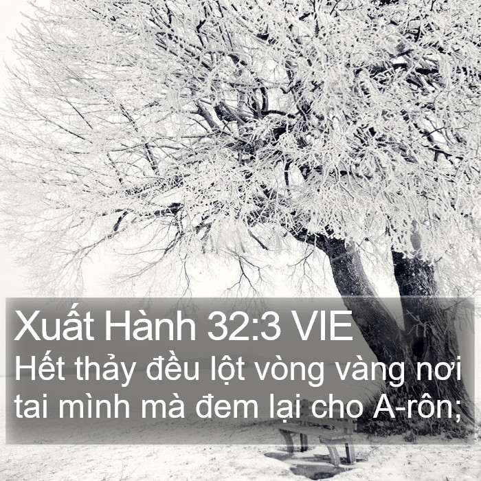 Xuất Hành 32:3 VIE Bible Study