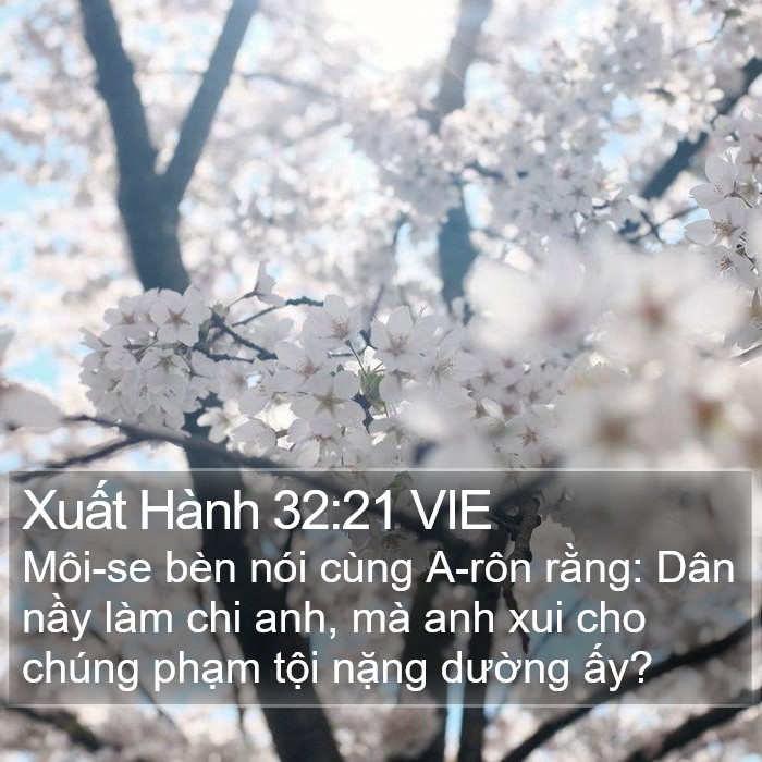 Xuất Hành 32:21 VIE Bible Study