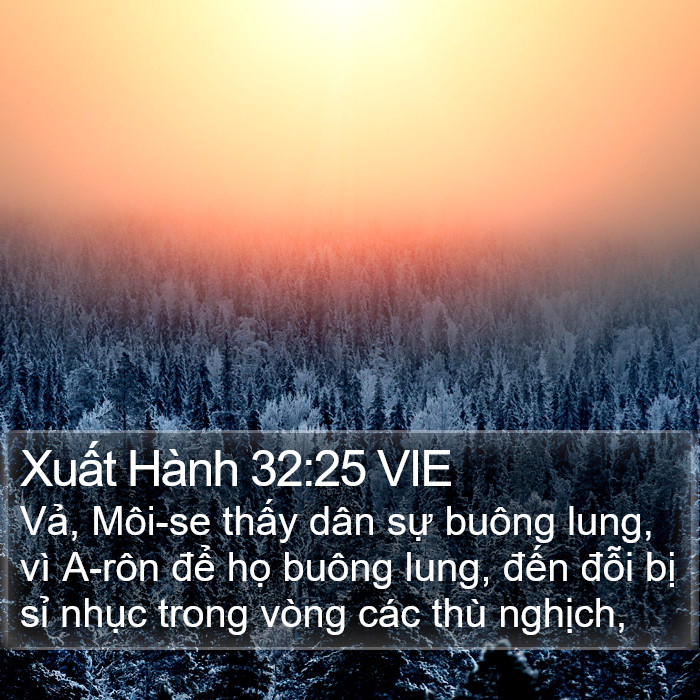 Xuất Hành 32:25 VIE Bible Study