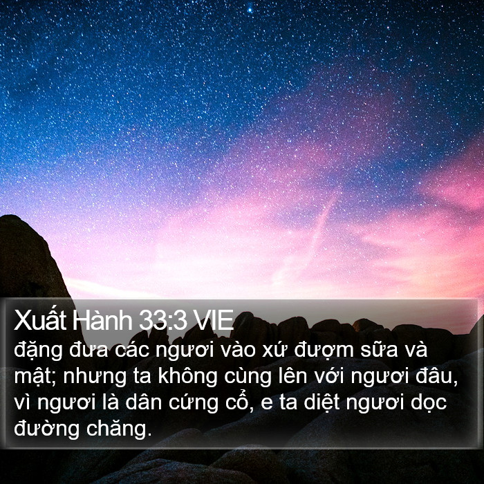 Xuất Hành 33:3 VIE Bible Study