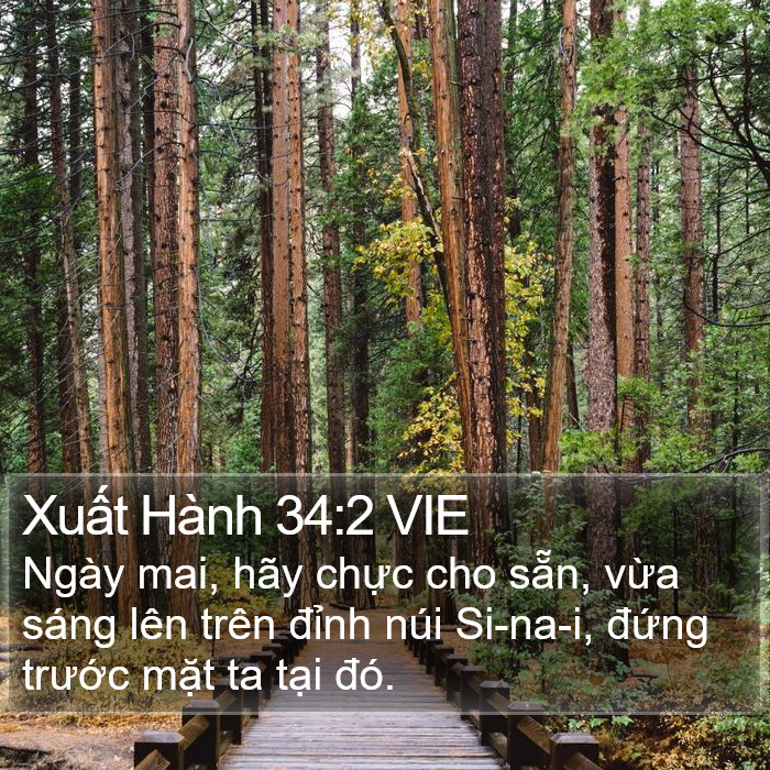 Xuất Hành 34:2 VIE Bible Study