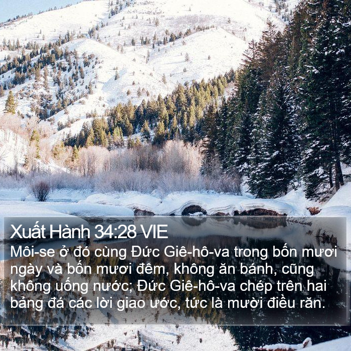 Xuất Hành 34:28 VIE Bible Study