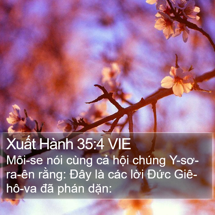 Xuất Hành 35:4 VIE Bible Study