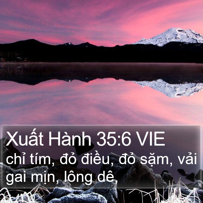 Xuất Hành 35:6 VIE Bible Study