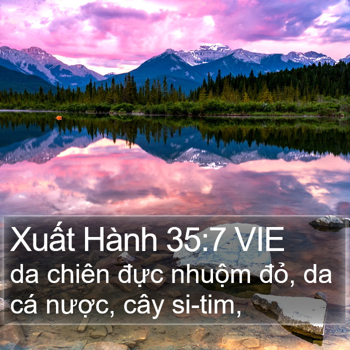 Xuất Hành 35:7 VIE Bible Study