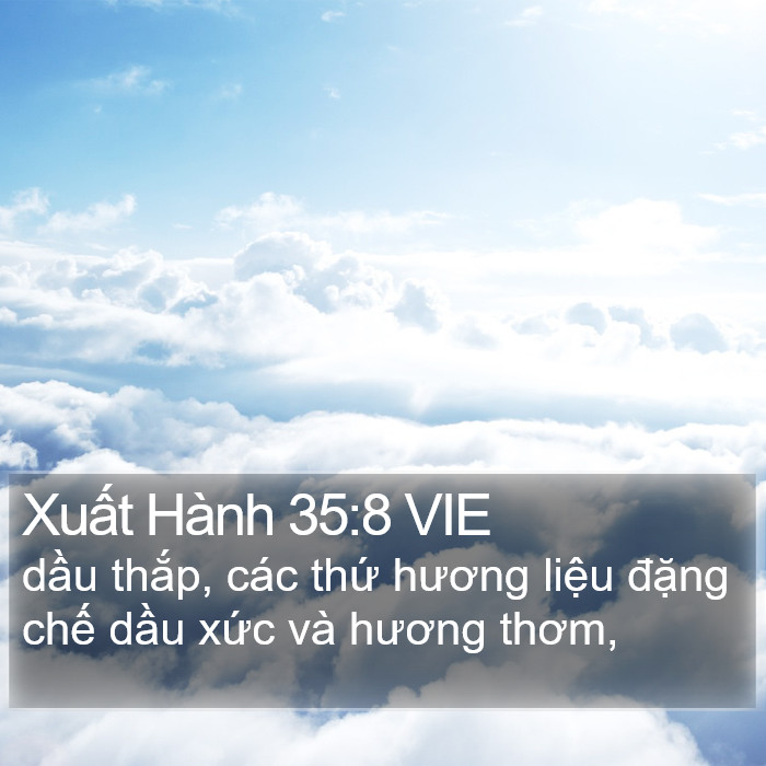 Xuất Hành 35:8 VIE Bible Study