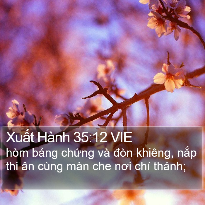 Xuất Hành 35:12 VIE Bible Study