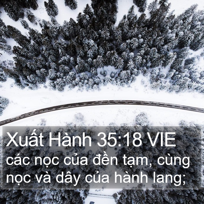 Xuất Hành 35:18 VIE Bible Study