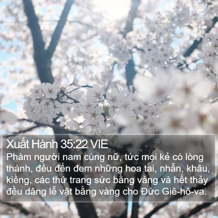 Xuất Hành 35:22 VIE Bible Study