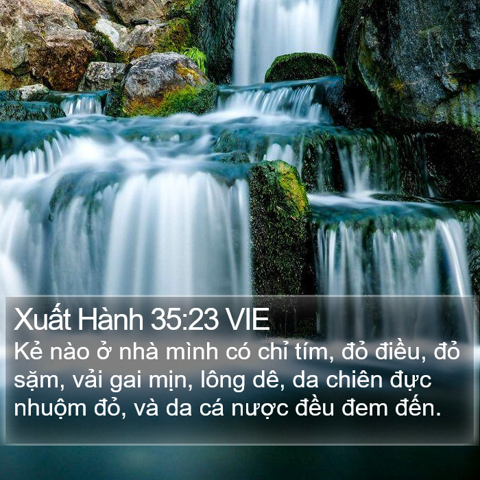 Xuất Hành 35:23 VIE Bible Study