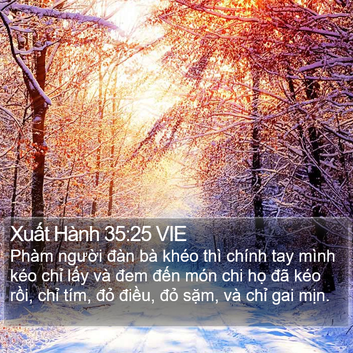 Xuất Hành 35:25 VIE Bible Study