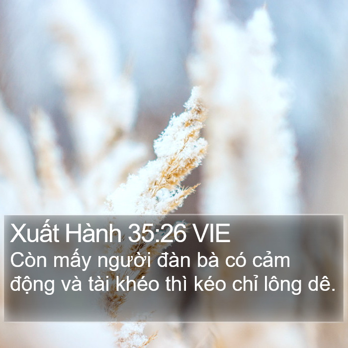 Xuất Hành 35:26 VIE Bible Study