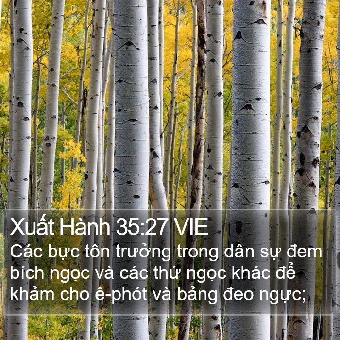 Xuất Hành 35:27 VIE Bible Study