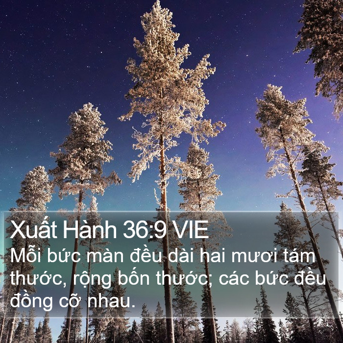 Xuất Hành 36:9 VIE Bible Study