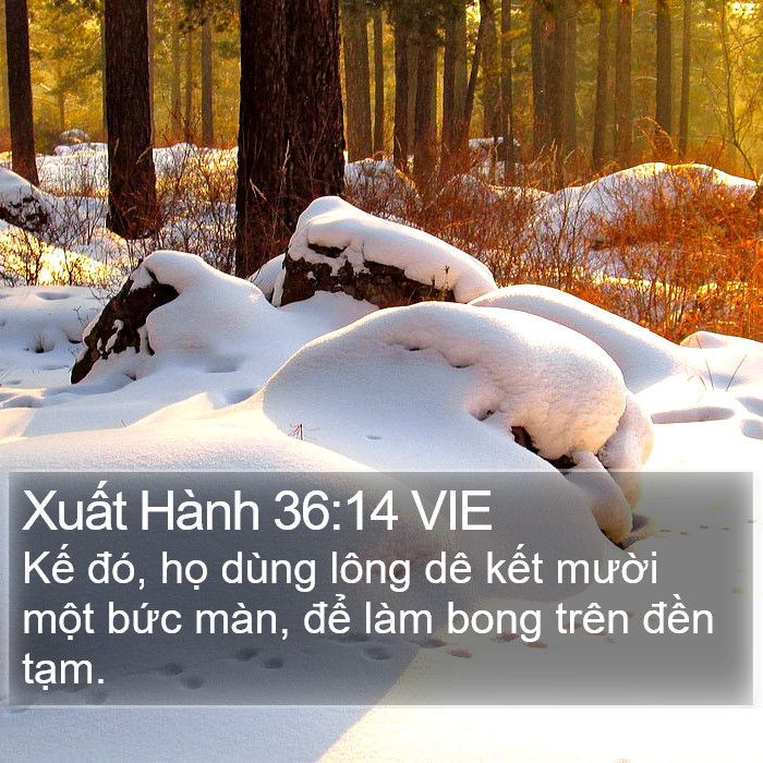 Xuất Hành 36:14 VIE Bible Study