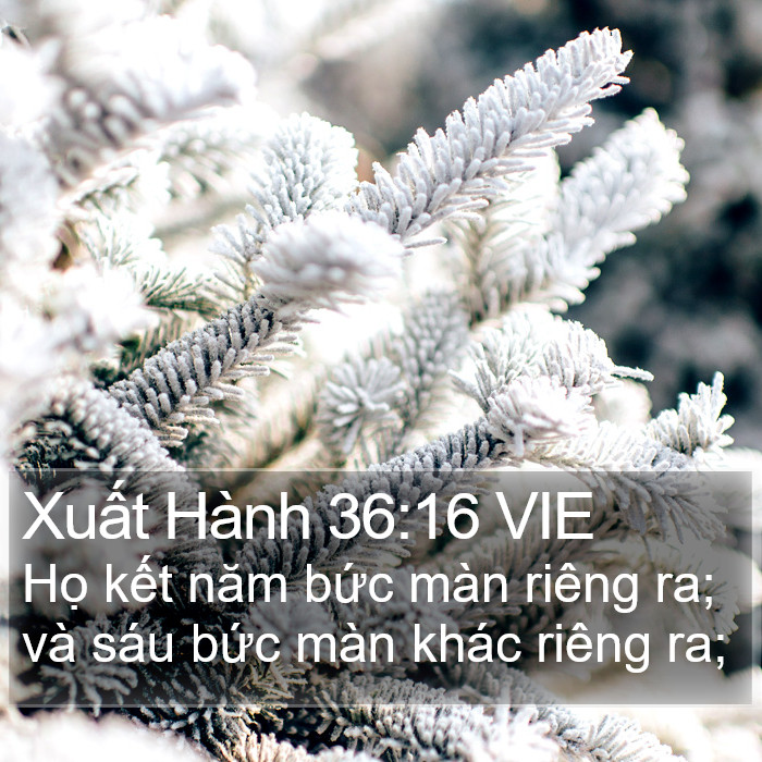 Xuất Hành 36:16 VIE Bible Study