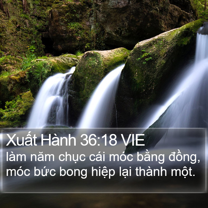 Xuất Hành 36:18 VIE Bible Study