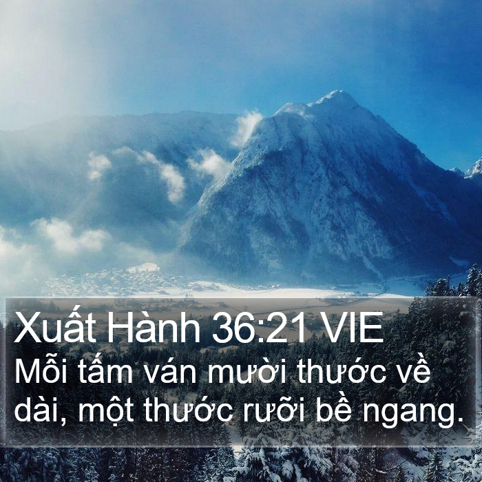 Xuất Hành 36:21 VIE Bible Study