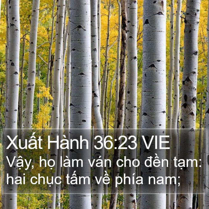 Xuất Hành 36:23 VIE Bible Study