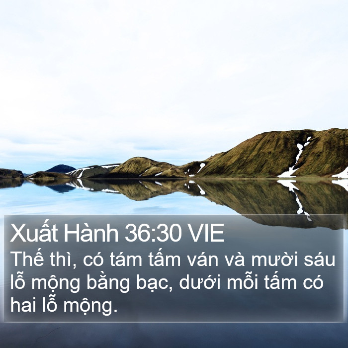 Xuất Hành 36:30 VIE Bible Study