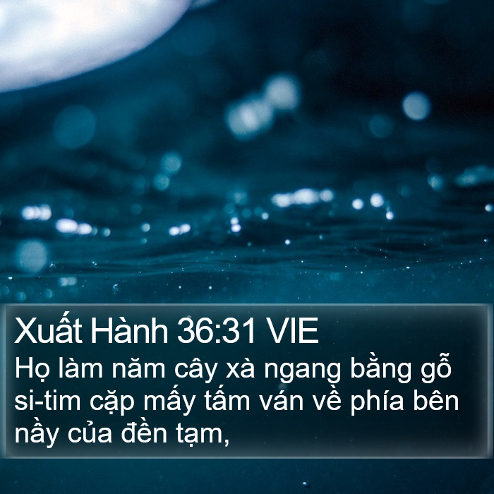 Xuất Hành 36:31 VIE Bible Study