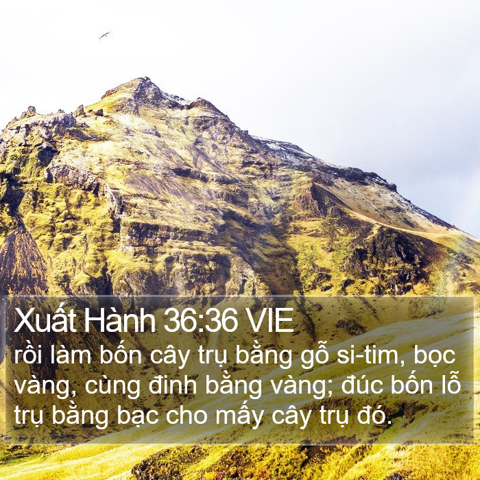 Xuất Hành 36:36 VIE Bible Study