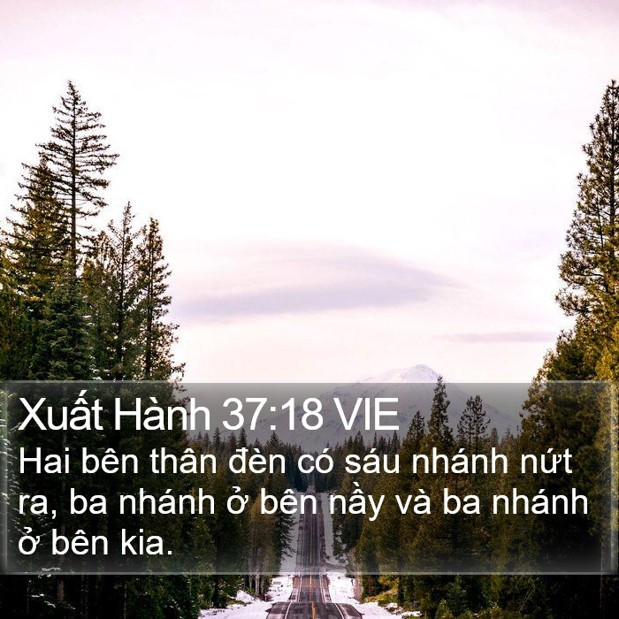 Xuất Hành 37:18 VIE Bible Study