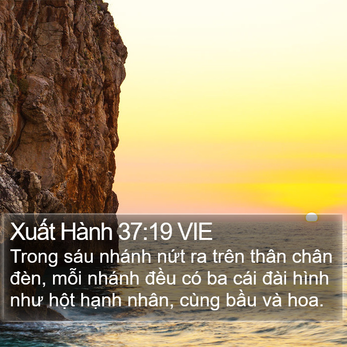 Xuất Hành 37:19 VIE Bible Study