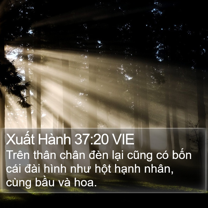 Xuất Hành 37:20 VIE Bible Study