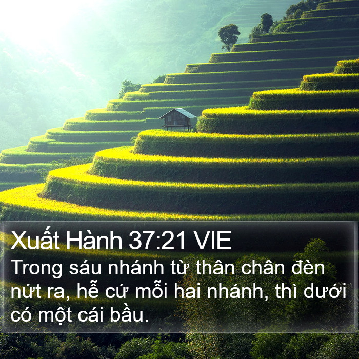 Xuất Hành 37:21 VIE Bible Study