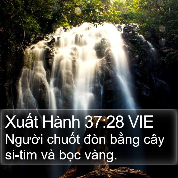 Xuất Hành 37:28 VIE Bible Study