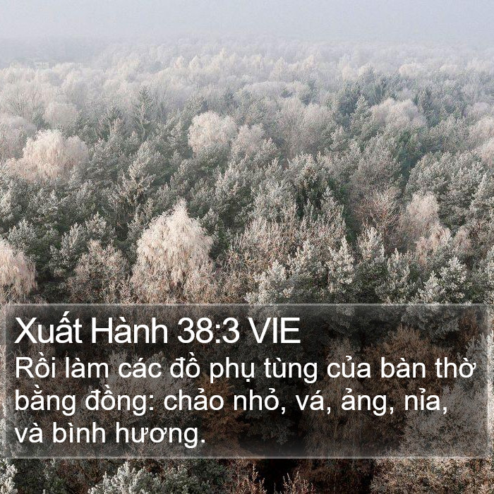 Xuất Hành 38:3 VIE Bible Study