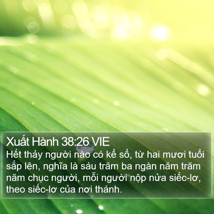 Xuất Hành 38:26 VIE Bible Study