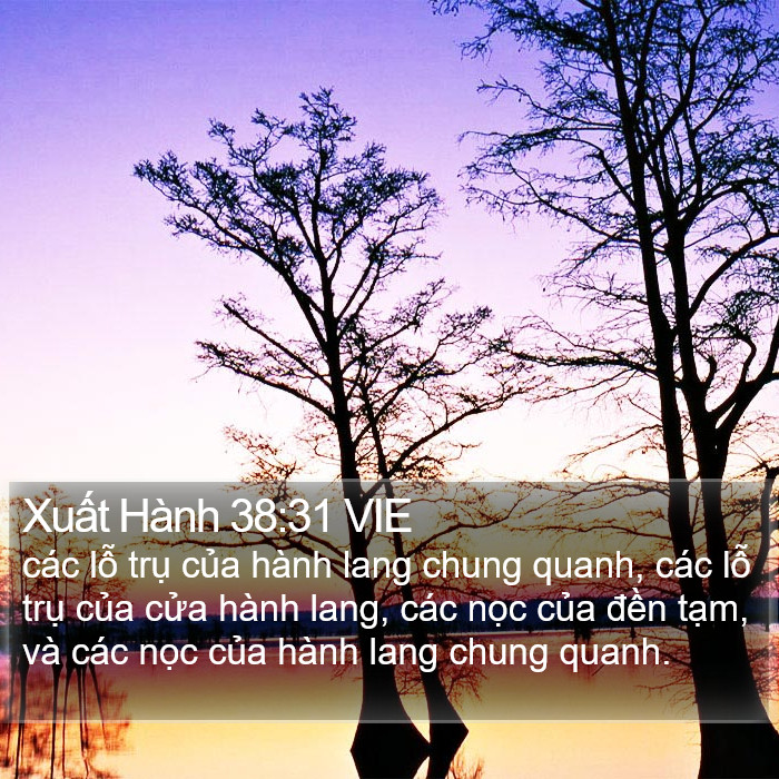 Xuất Hành 38:31 VIE Bible Study