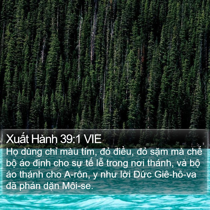 Xuất Hành 39:1 VIE Bible Study