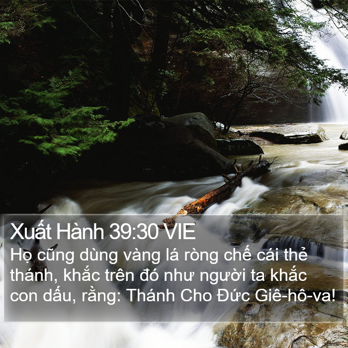 Xuất Hành 39:30 VIE Bible Study