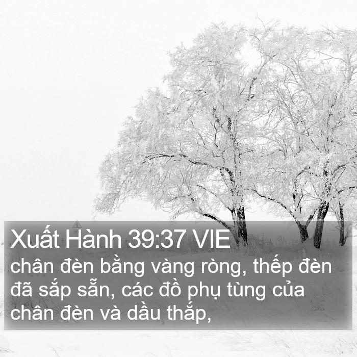 Xuất Hành 39:37 VIE Bible Study
