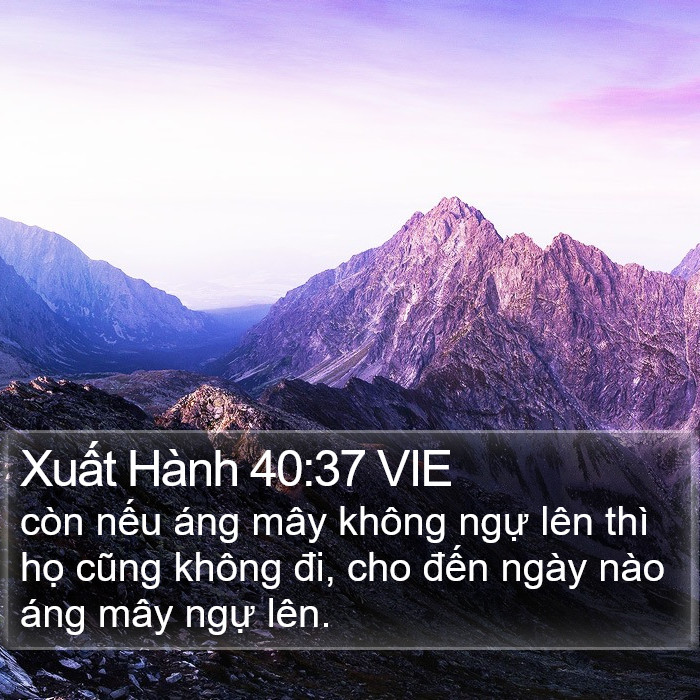 Xuất Hành 40:37 VIE Bible Study