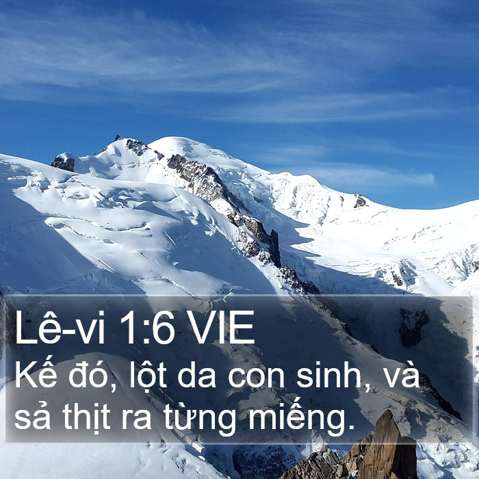 Lê-vi 1:6 VIE Bible Study