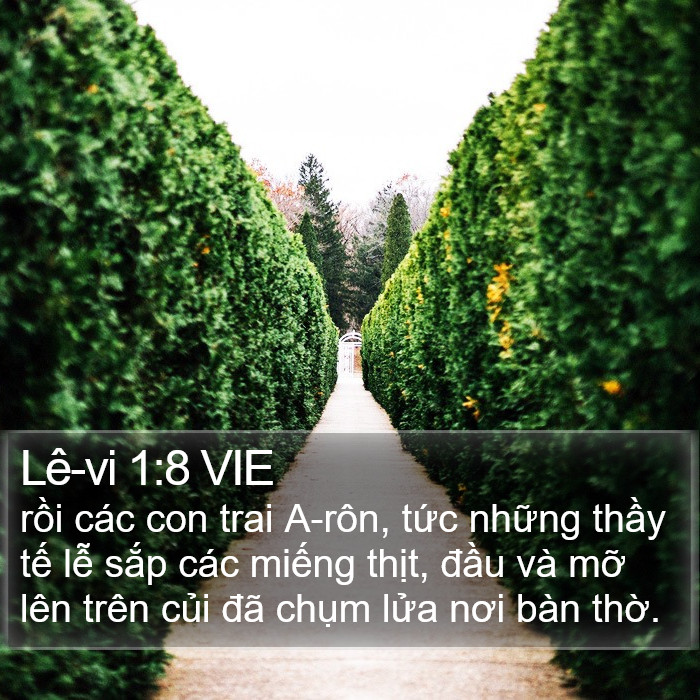 Lê-vi 1:8 VIE Bible Study